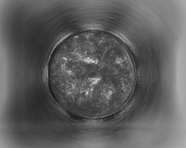 X0000095960790200802011121