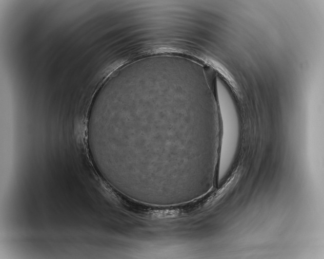 X0000095960793200802011121