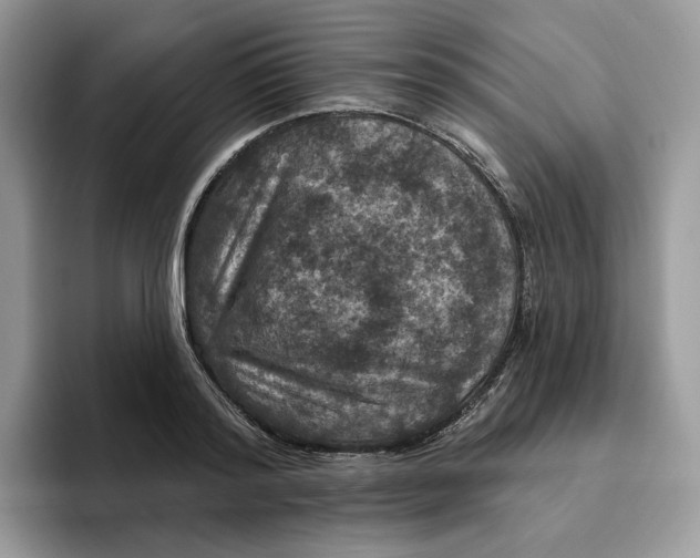 X0000095960796200802011121