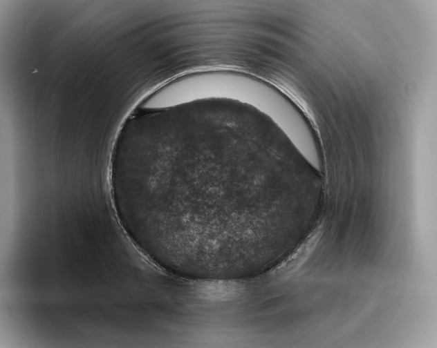 X0000095960797200802011121