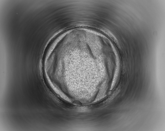 X0000095960798200802011121