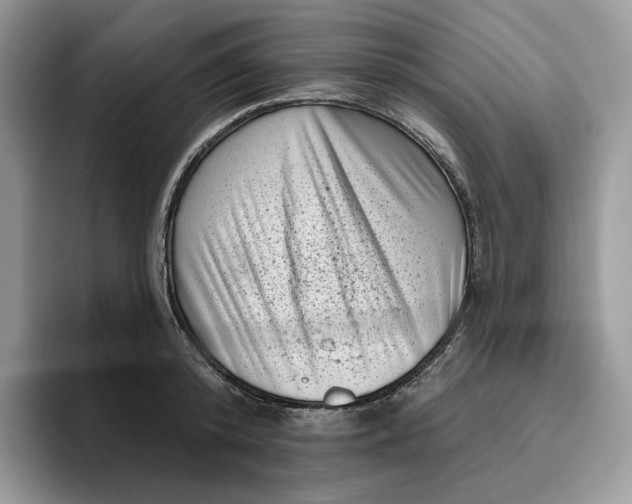 X0000095960800200802011121