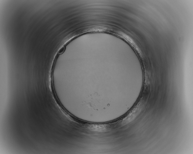 X0000095960802200802011121