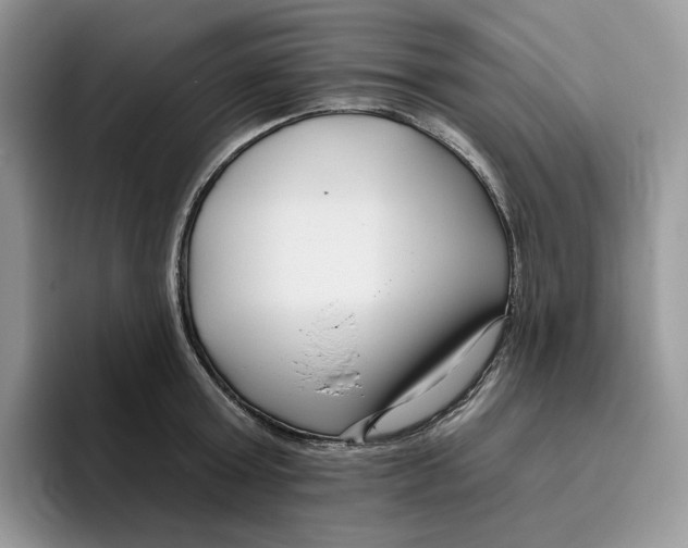 X0000095960803200802011121