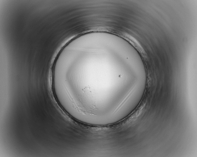 X0000095960804200802011121