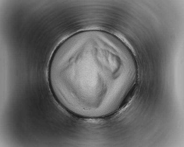 X0000095960805200802011121