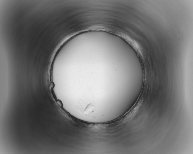 X0000095960808200802011121