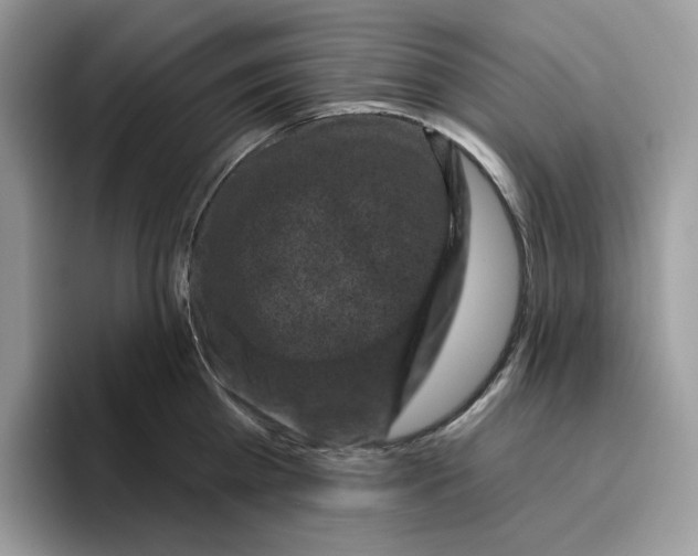 X0000095960809200802011121