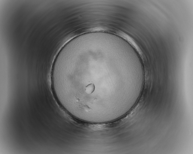 X0000095960810200802011121