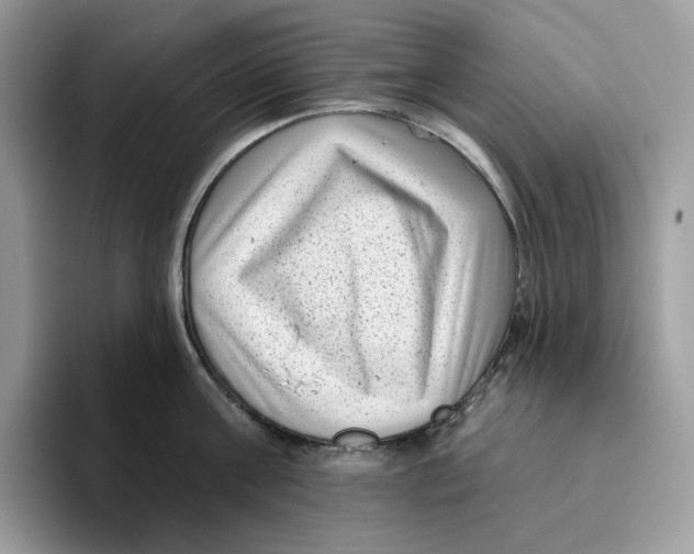 X0000095960811200802011121