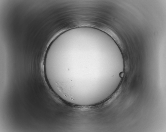 X0000095960814200802011120