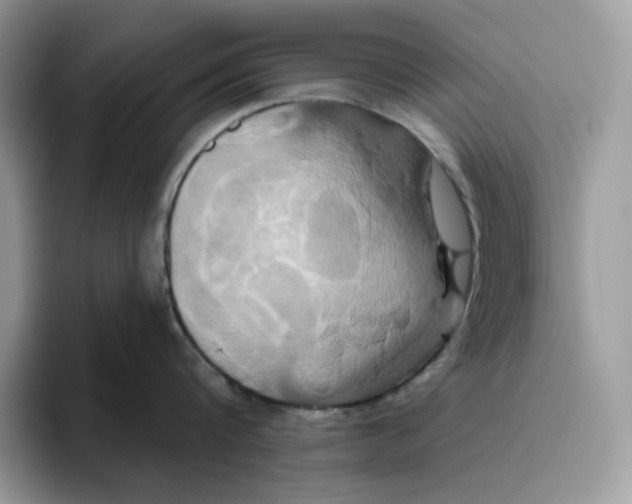 X0000095960816200802011120