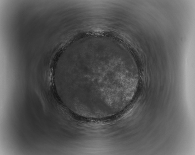 X0000095960818200802011120