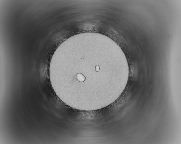 X0000095960820200802011120