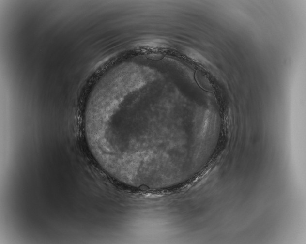 X0000095960822200802011120