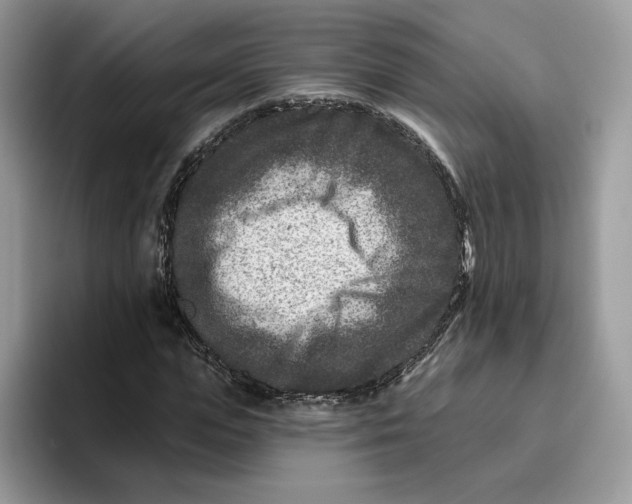 X0000095960823200802011120