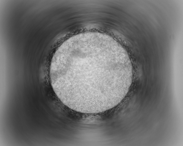 X0000095960824200802011120