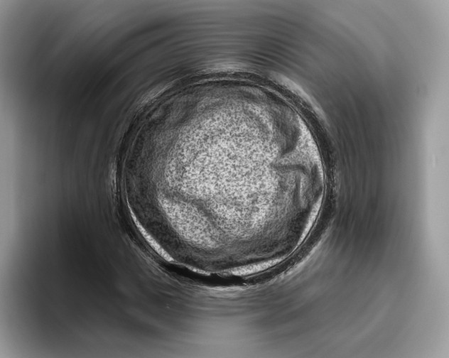 X0000095960825200802011120