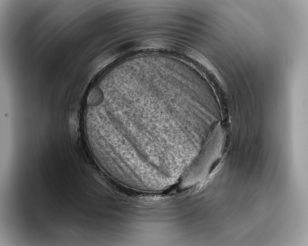 X0000095960826200802011120