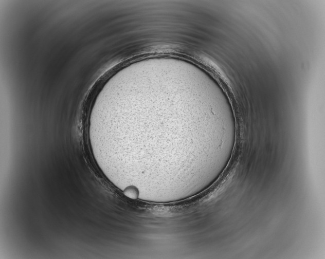 X0000095960827200802011120