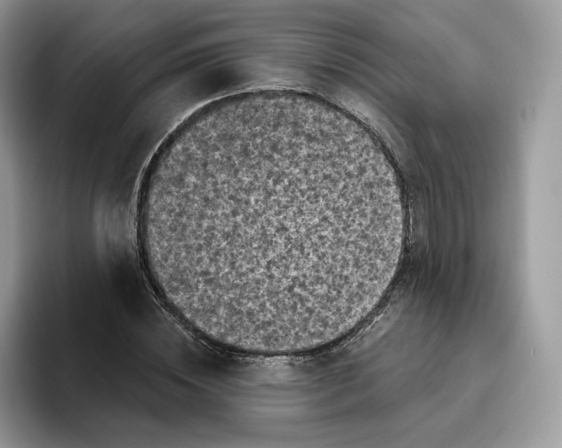 X0000095960828200802011120