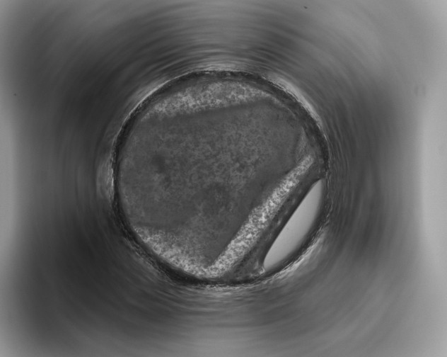 X0000095960829200802011120