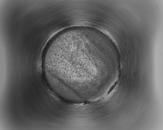 X0000095960830200802011120