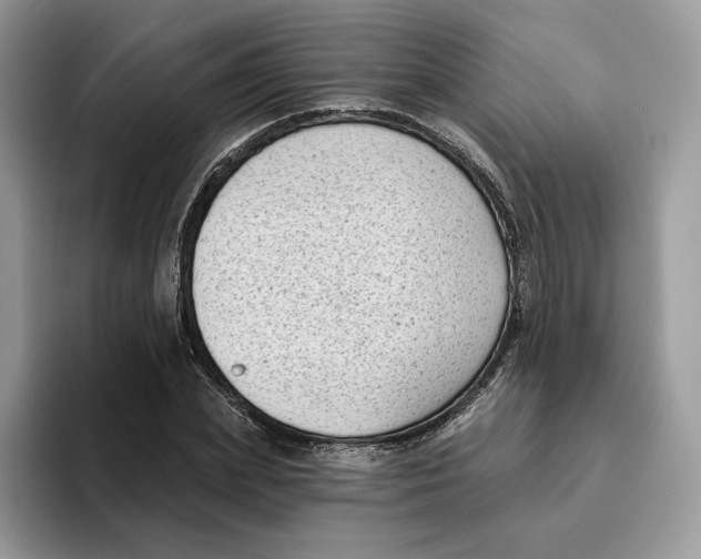 X0000095960831200802011120