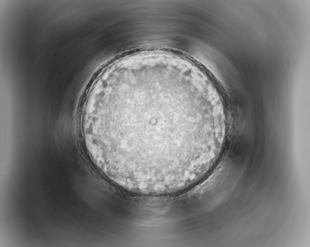 X0000095960832200802011120