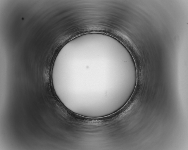 X0000095960833200802011120