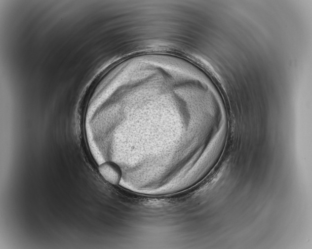 X0000095960835200802011120