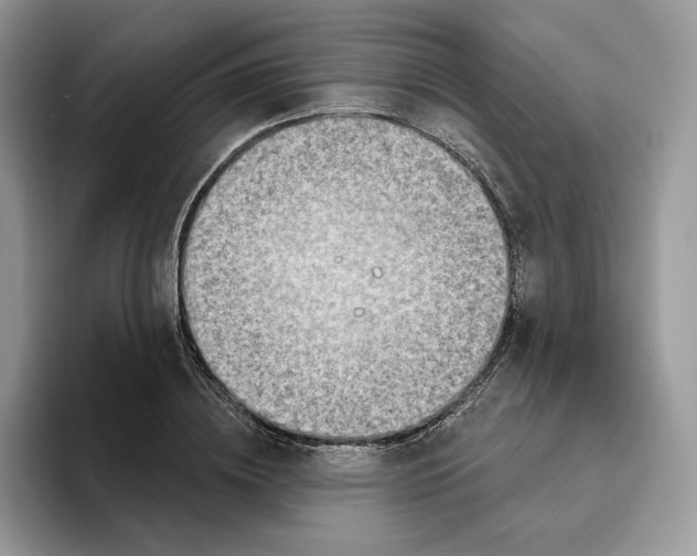 X0000095960836200802011120