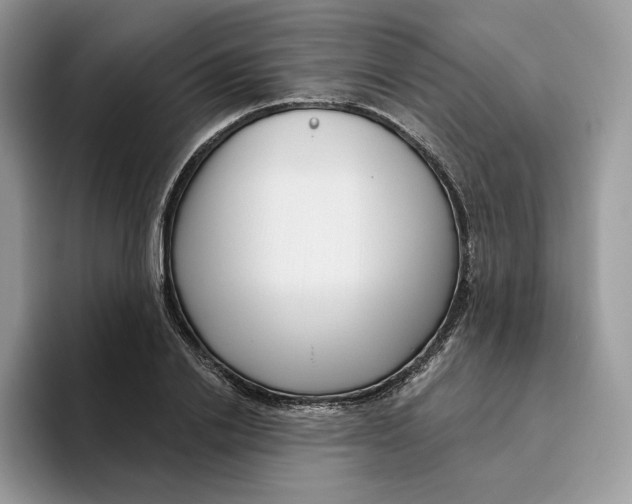 X0000095960838200802011120