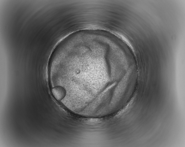 X0000095960839200802011120