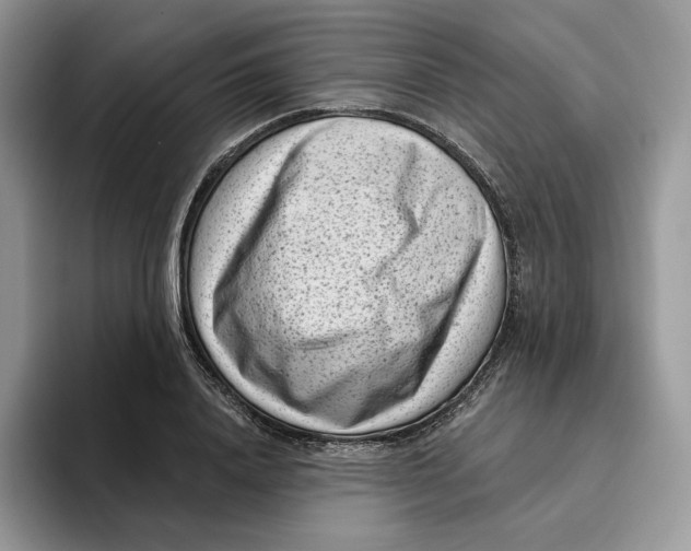 X0000095960840200802011120