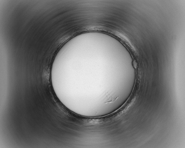 X0000095960841200802011120