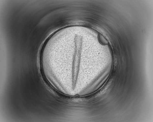 X0000095960843200802011120