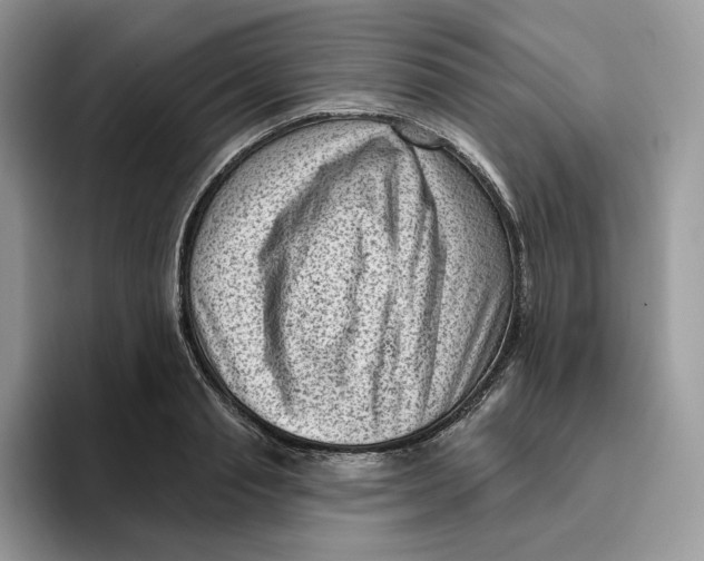 X0000095960845200802011120