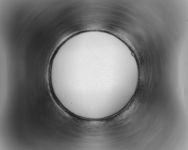 X0000095960847200802011120