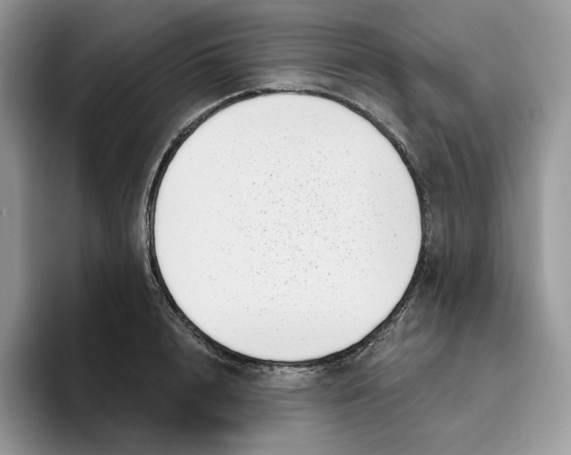 X0000095960848200802011120