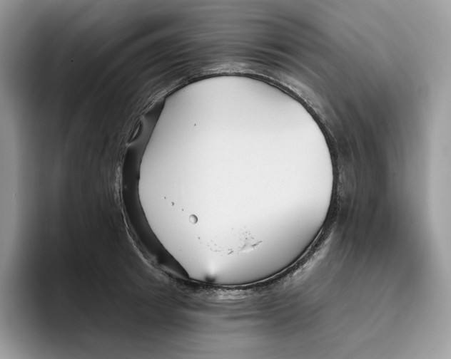 X0000095960849200802011120