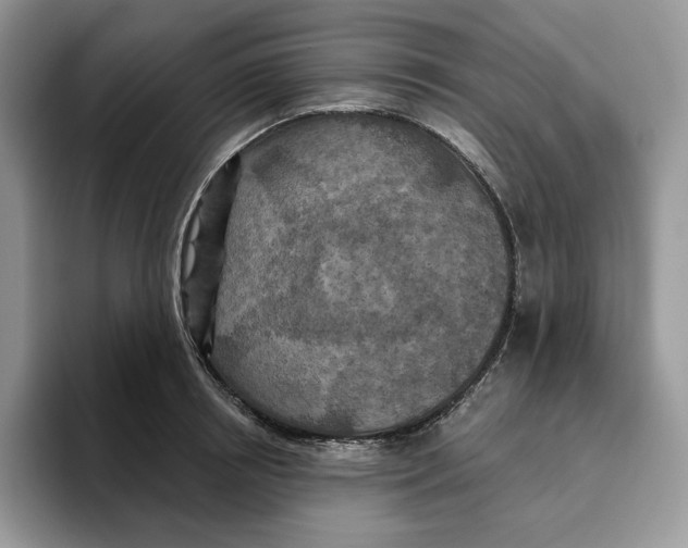 X0000095960850200802011120