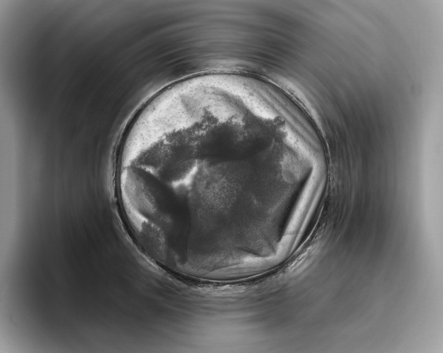 X0000095960851200802011120