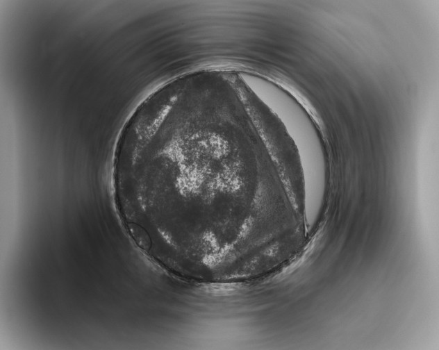 X0000095960853200802011120