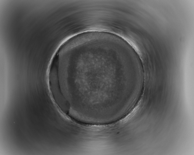 X0000095960854200802011120