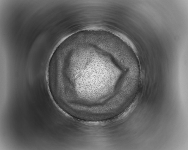 X0000095960855200802011120