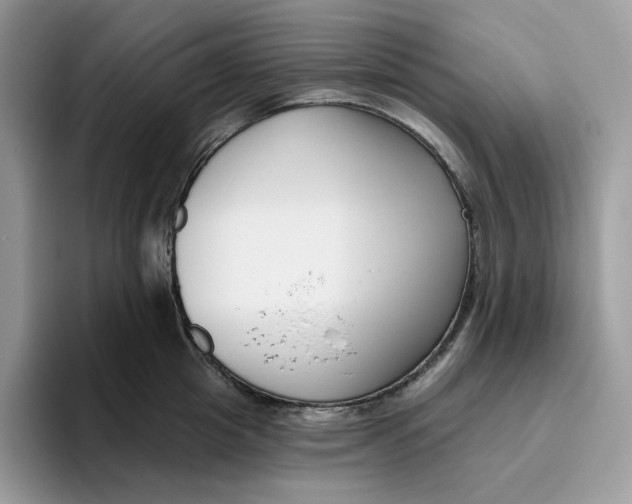 X0000095960857200802011120