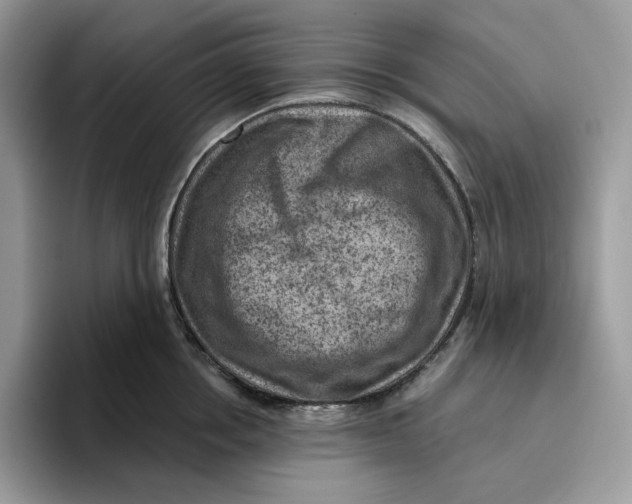 X0000095960858200802011120