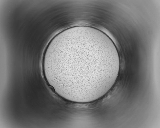 X0000095960861200802011120