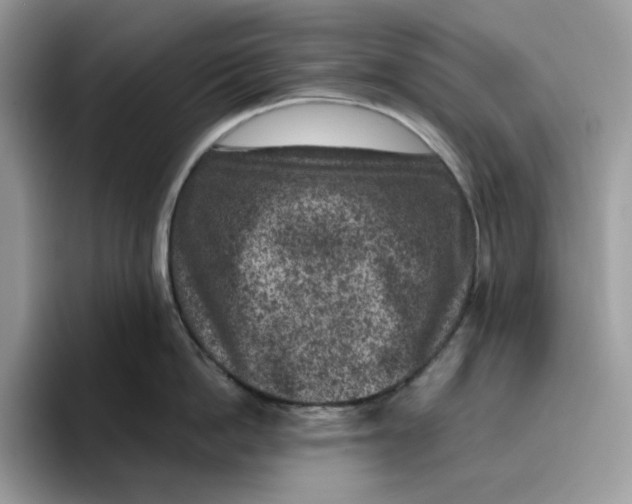 X0000095960862200802011120